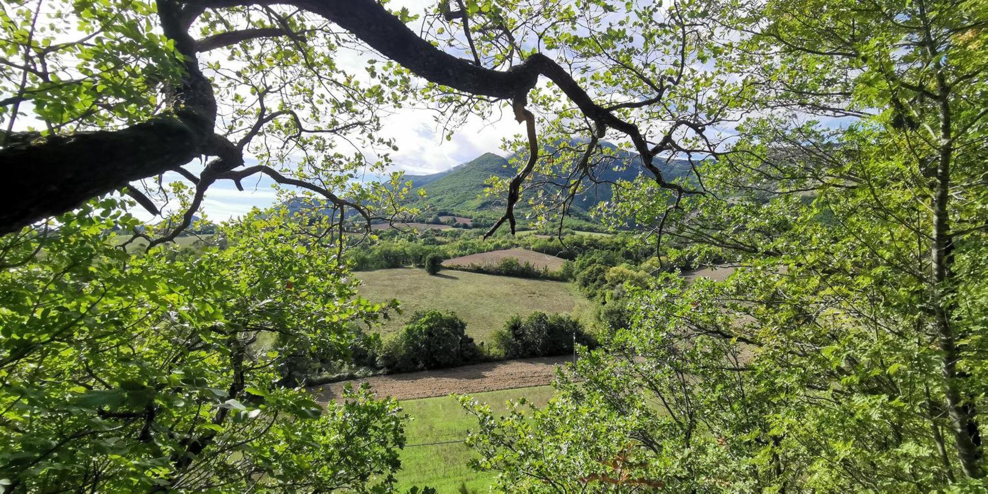 La Casetta Di Gino E Marcella Sassoferrato Luaran gambar